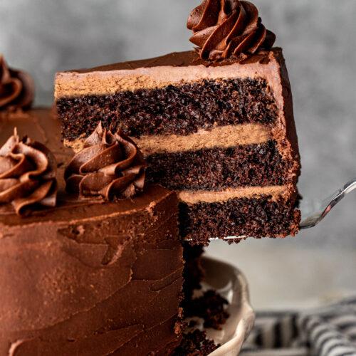 Close-up shot of a slice of Fig Balsamic Chocolate Layer Cake, showcasing the layers and moist texture.