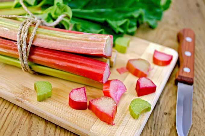 fresh rhubarb stalks and shredded coconut on a kitchen counter