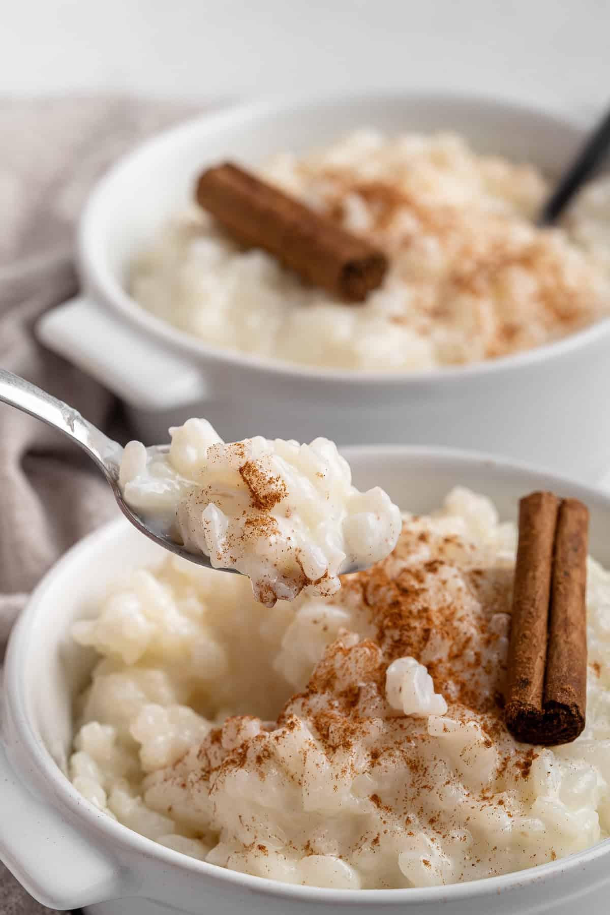 various ingredients for flavoring rice milk, such as cinnamon sticks and vanilla beans