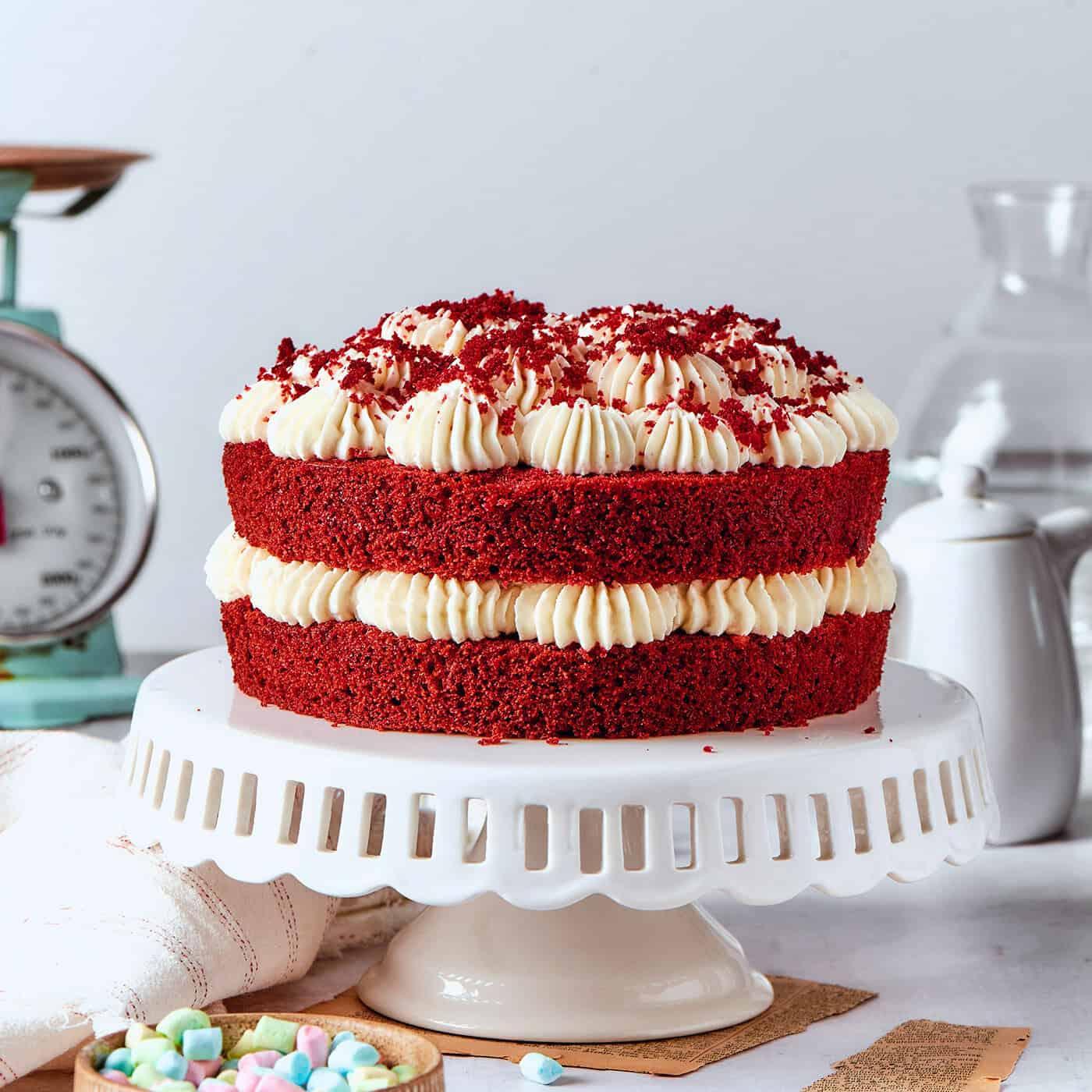 grandmother serving a slice of red velvet cake at a birthday party