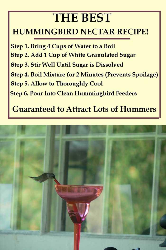 ingredients for hummingbird nectar (sugar and water)