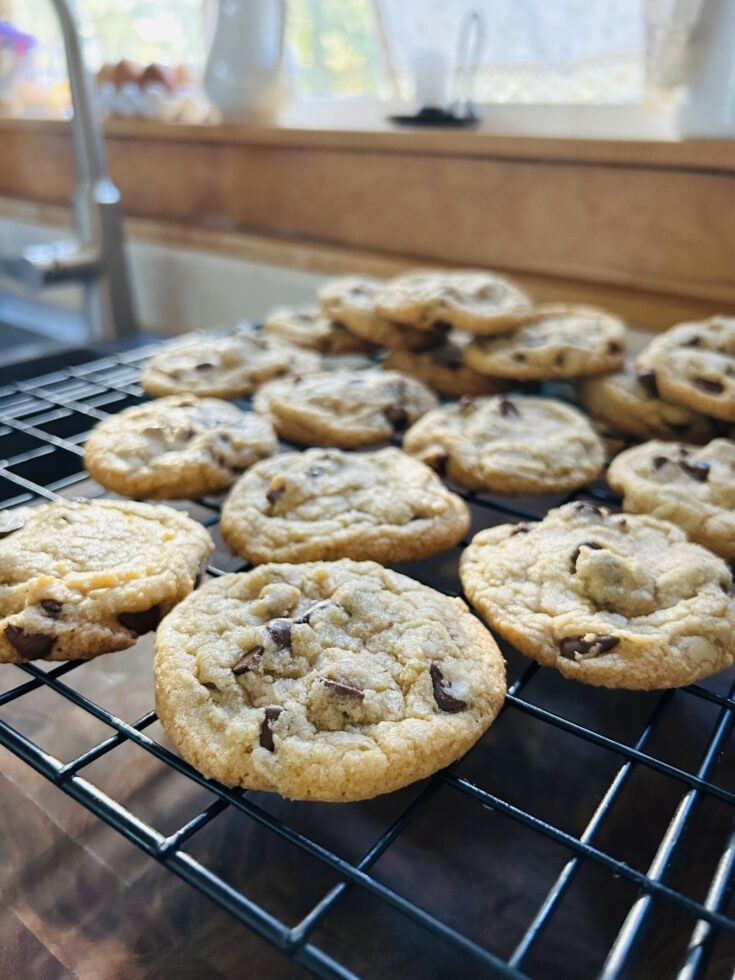 freshly baked soft chocolate chip cookies on cooling rack
