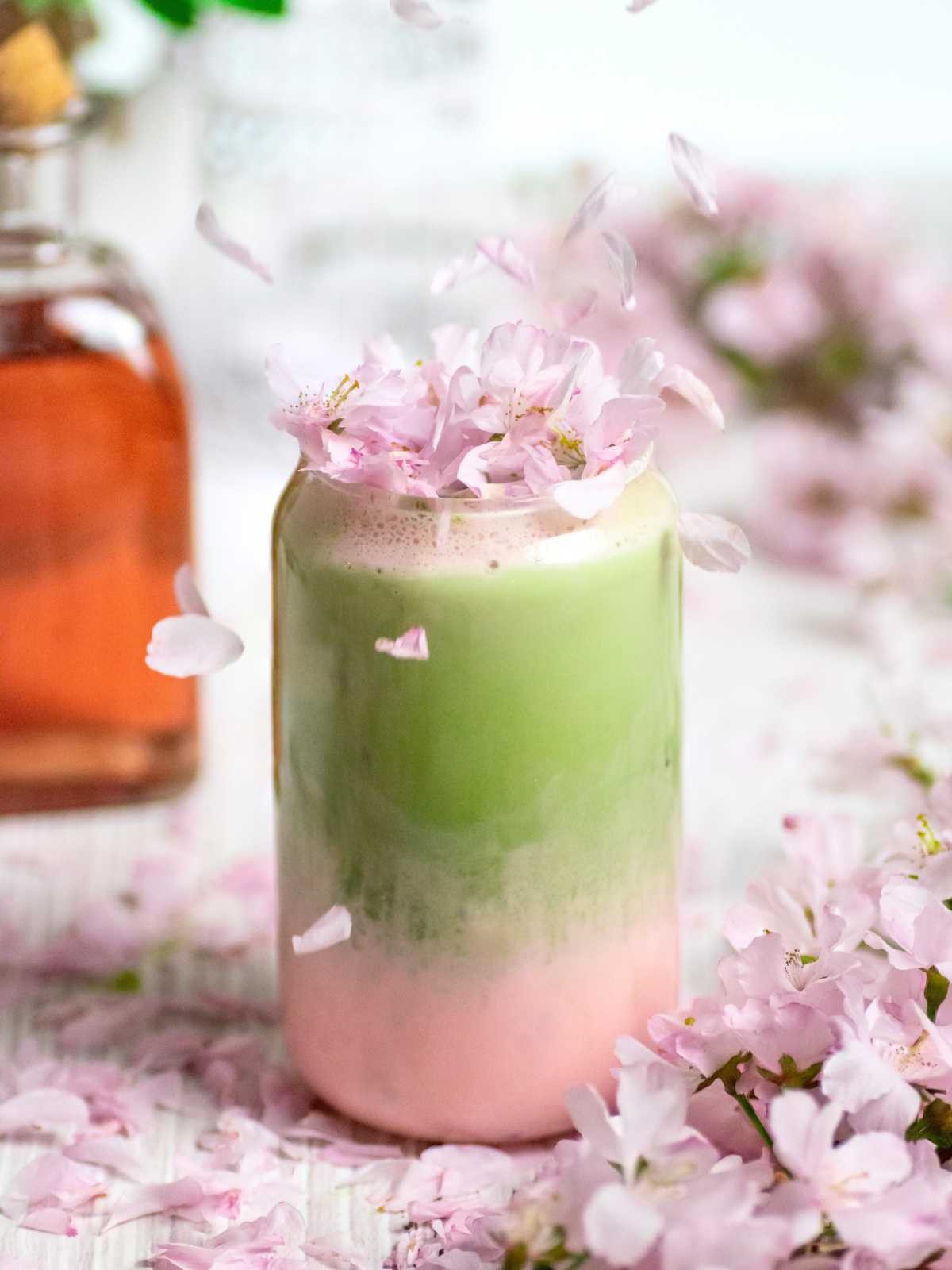 matcha cherry blossom latte with pink cherry blossom garnish