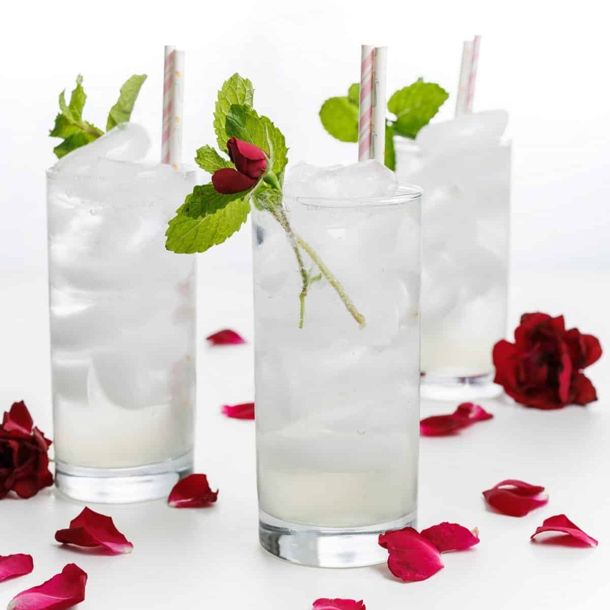 effervescent rose water fizz in a tall glass with rose petals